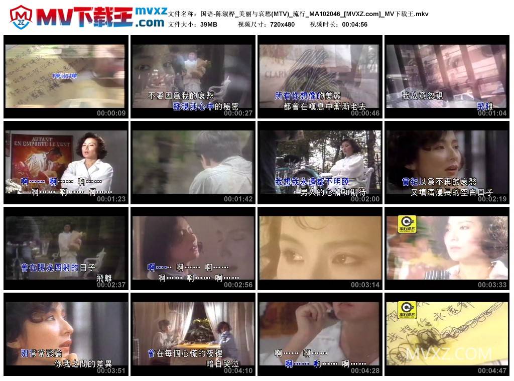 国语-陈淑桦_美丽与哀愁(MTV)_流行_MA102046